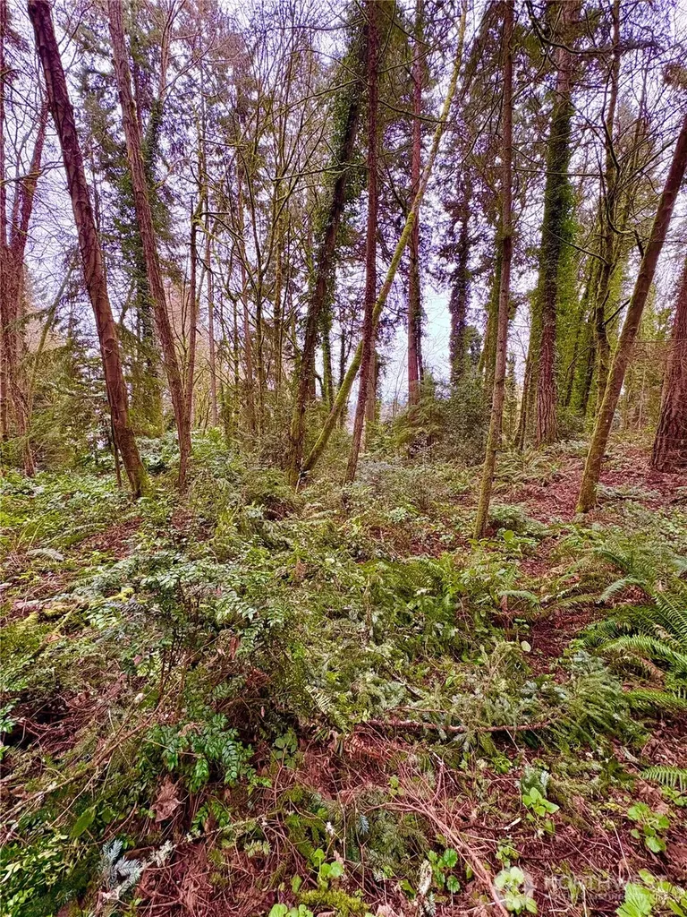 0 SW 230th Street Vashon WA 98070