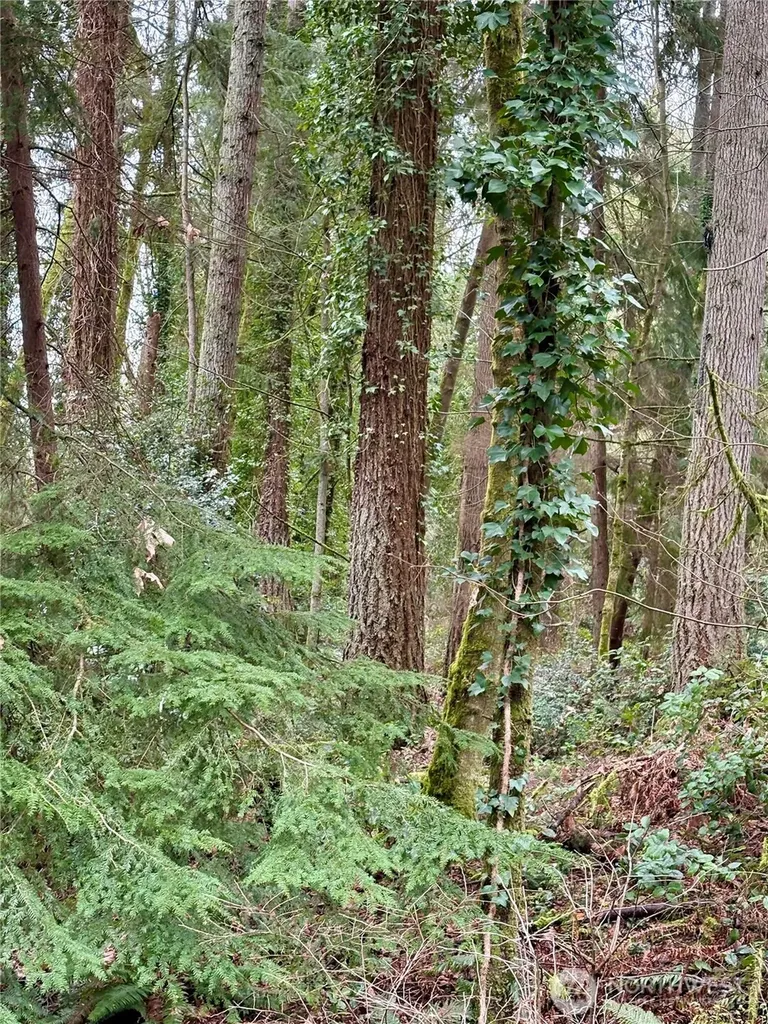 0 SW 230th Street Vashon WA 98070