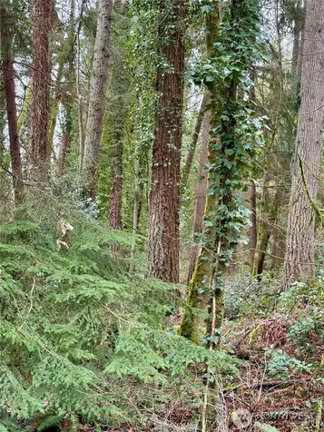 0 SW 230th Street Vashon WA 98070