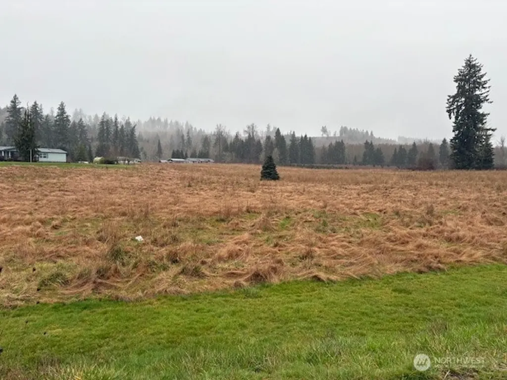 102 Maulwee Drive Silver Creek WA 98585