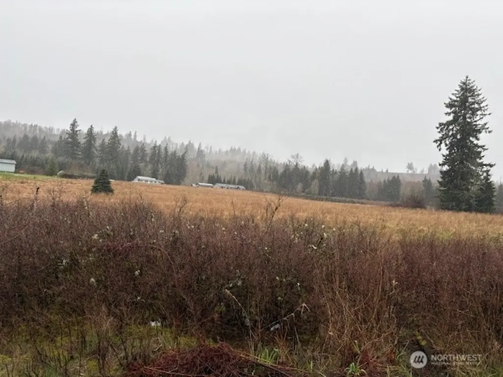 102 Maulwee Drive Silver Creek WA 98585