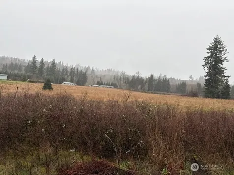 102 Maulwee Drive Silver Creek WA 98585