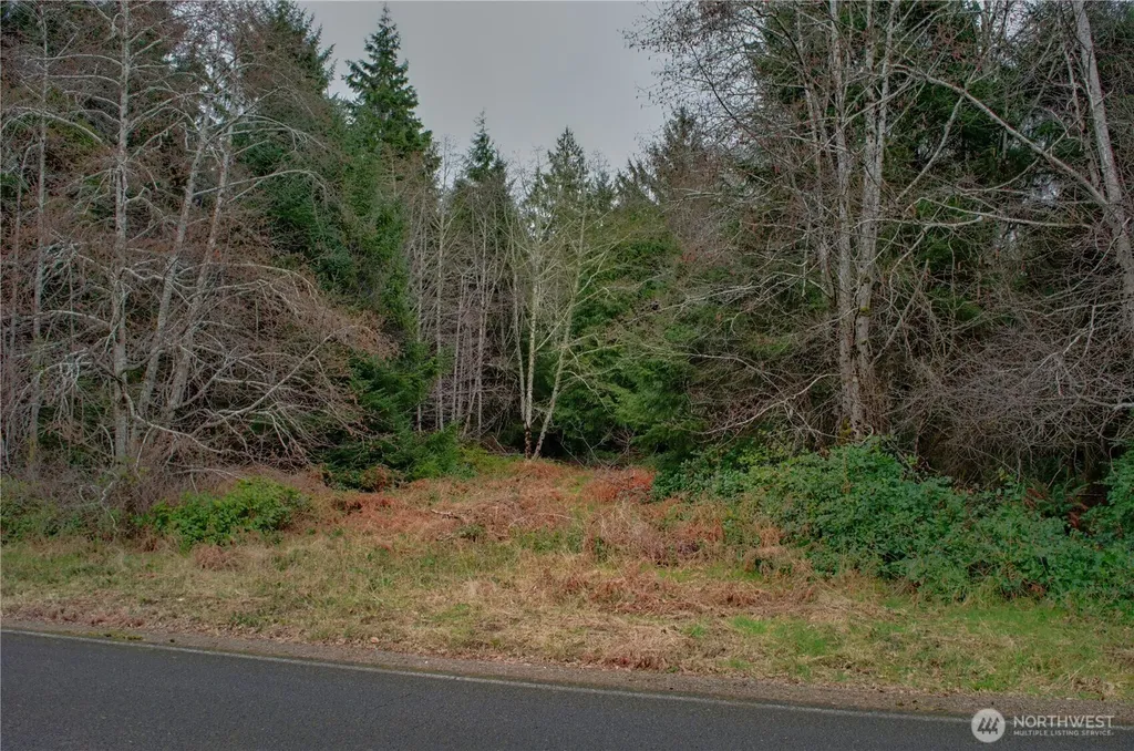 56 Ranta Road South Bend WA 98586