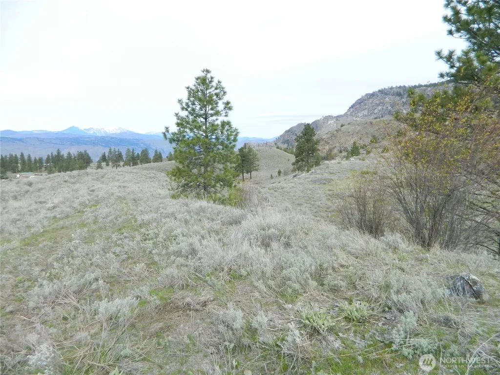0 Tbd Six Gun Way Tonasket WA 98855