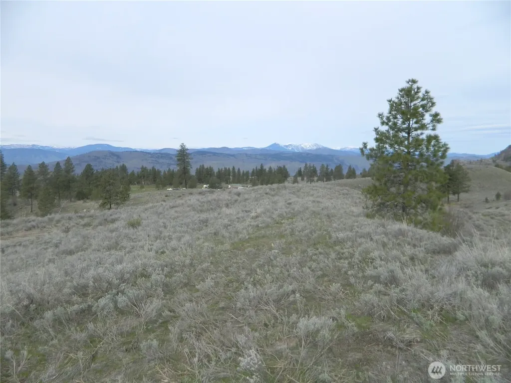 0 Tbd Six Gun Way Tonasket WA 98855