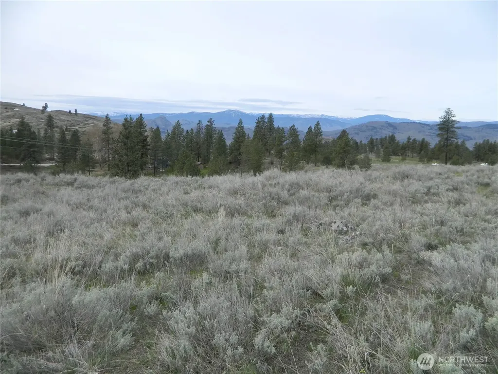 0 Tbd Six Gun Way Tonasket WA 98855