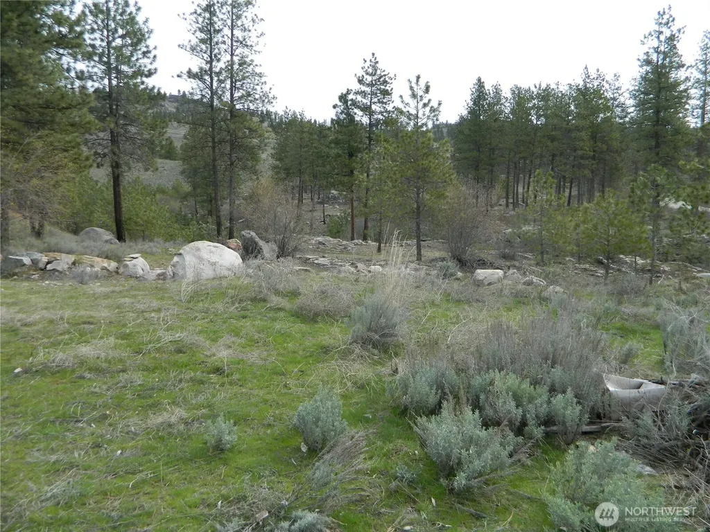 0 Tbd Six Gun Way Tonasket WA 98855