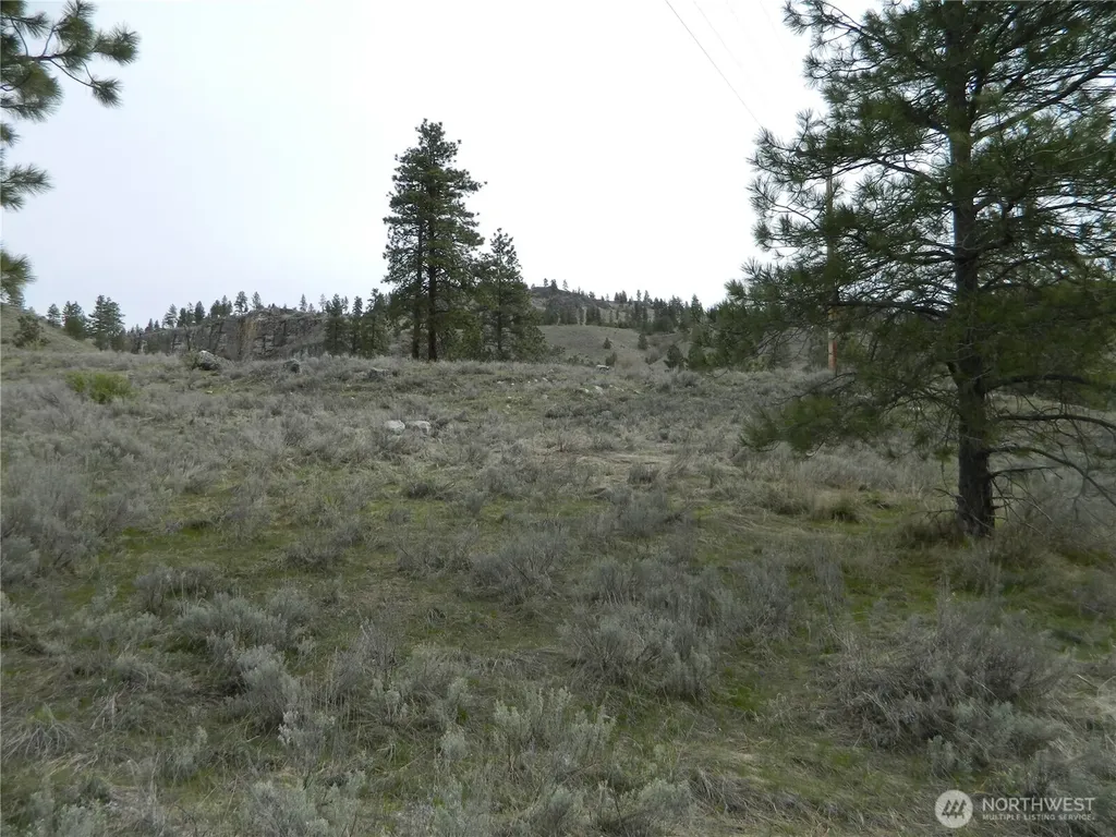 0 Tbd Six Gun Way Tonasket WA 98855