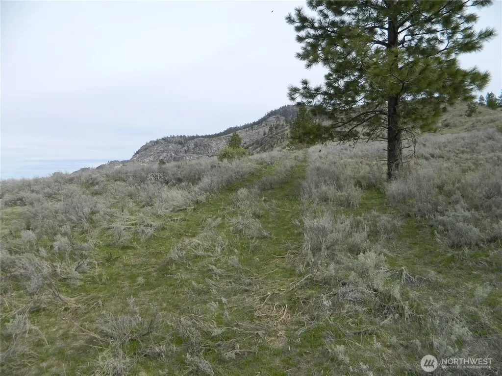 0 Tbd Six Gun Way Tonasket WA 98855