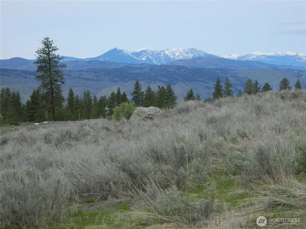 0 Tbd Six Gun Way Tonasket WA 98855