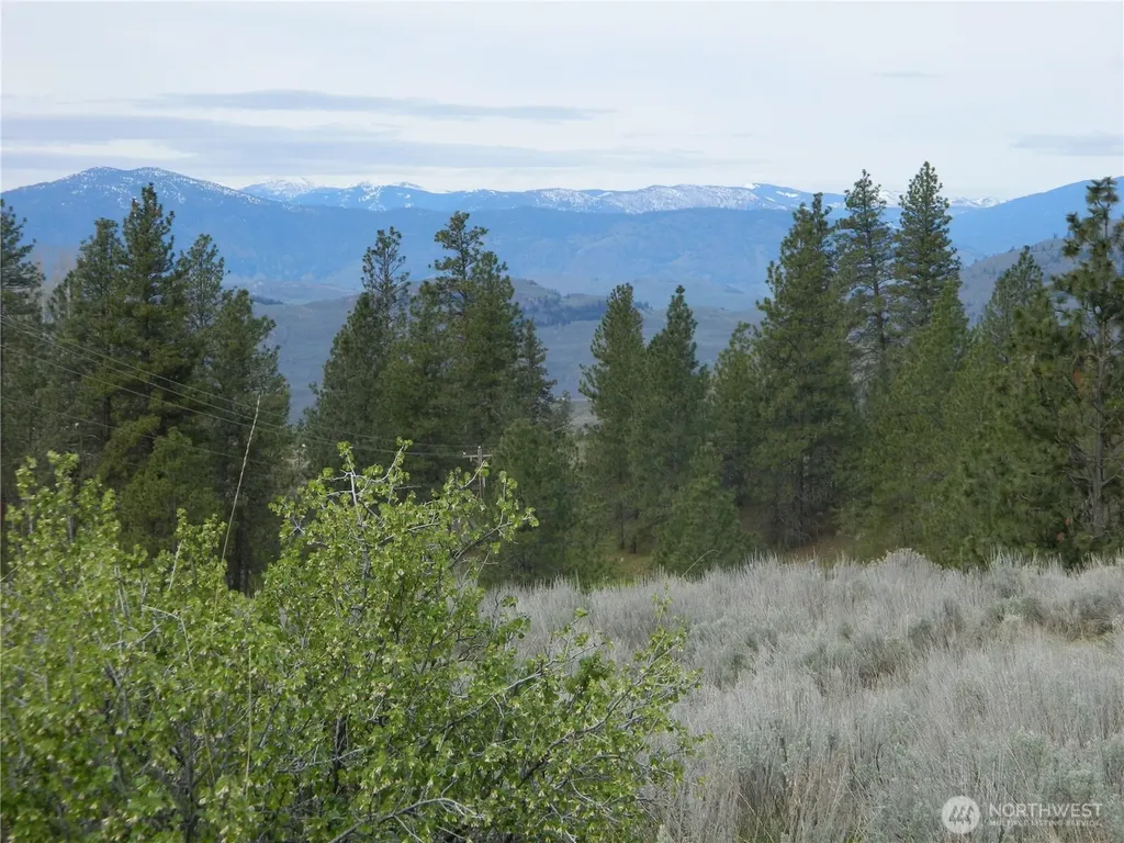 0 Tbd Six Gun Way Tonasket WA 98855
