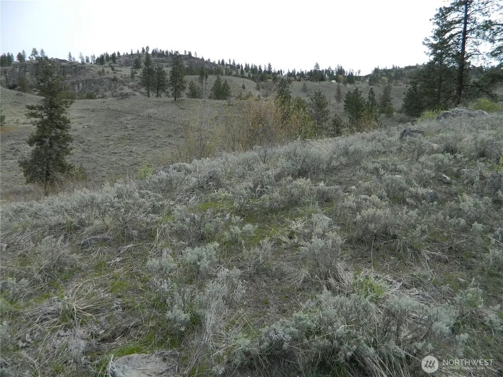 0 Tbd Six Gun Way Tonasket WA 98855