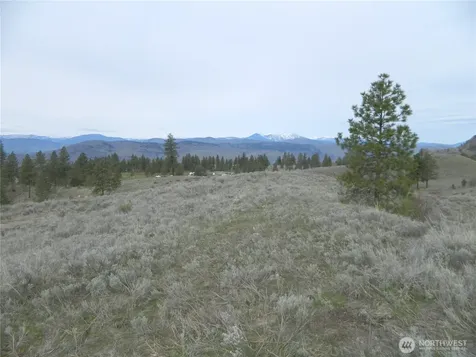 0 Tbd Six Gun Way Tonasket WA 98855