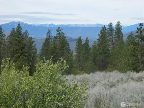 0 Tbd Six Gun Way Tonasket WA 98855