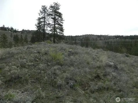 0 Tbd Six Gun Way Tonasket WA 98855