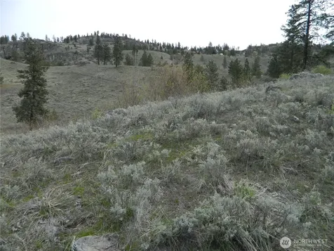 0 Tbd Six Gun Way Tonasket WA 98855