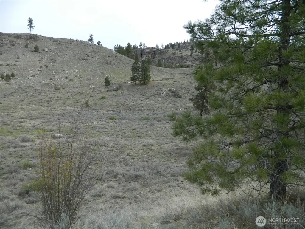 11 Tbd Six Gun Way Tonasket WA 98855
