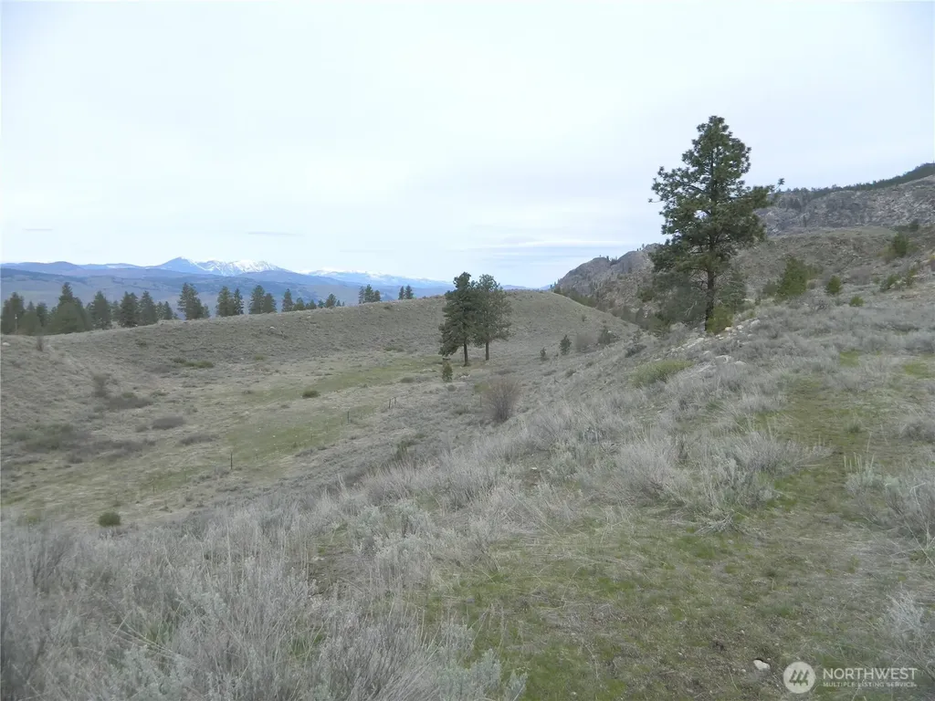 11 Tbd Six Gun Way Tonasket WA 98855