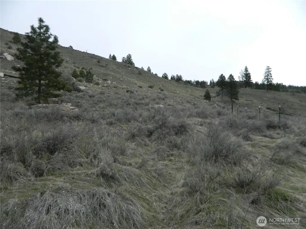 11 Tbd Six Gun Way Tonasket WA 98855