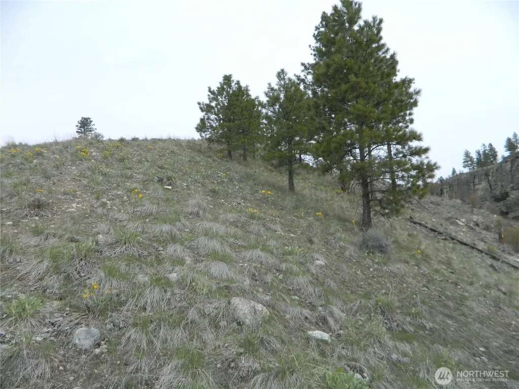 11 Tbd Six Gun Way Tonasket WA 98855