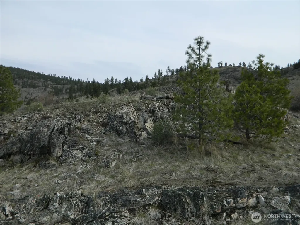 111 Tbd Six Gun Way Tonasket WA 98855