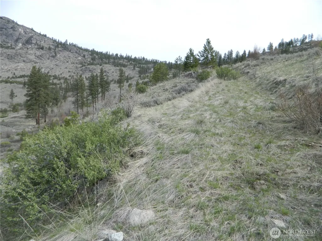 111 Tbd Six Gun Way Tonasket WA 98855