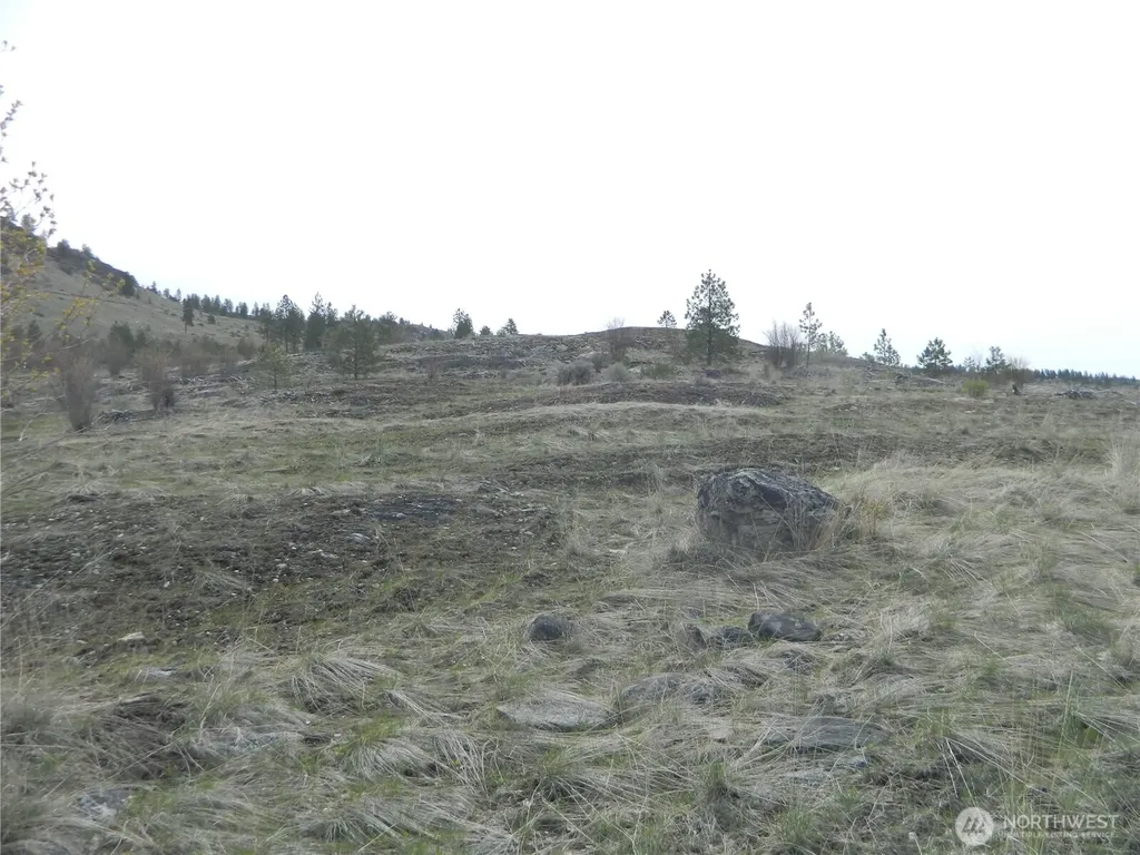 111 Tbd Six Gun Way Tonasket WA 98855