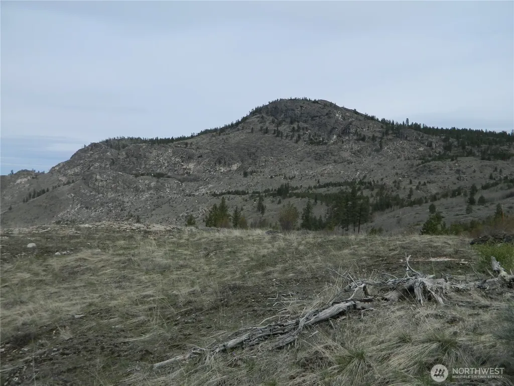111 Tbd Six Gun Way Tonasket WA 98855
