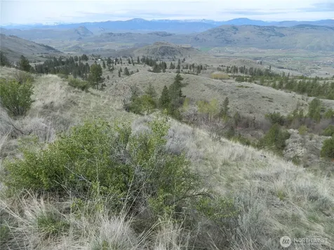 111 Tbd Six Gun Way Tonasket WA 98855