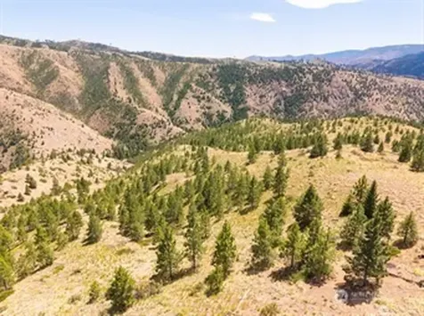 2 Lot Mud Creek Road Entiat WA 98822
