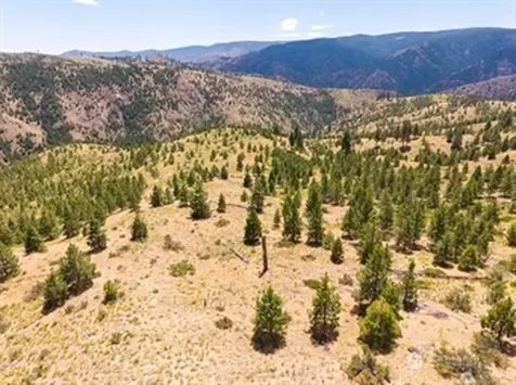2 Lot Mud Creek Road Entiat WA 98822