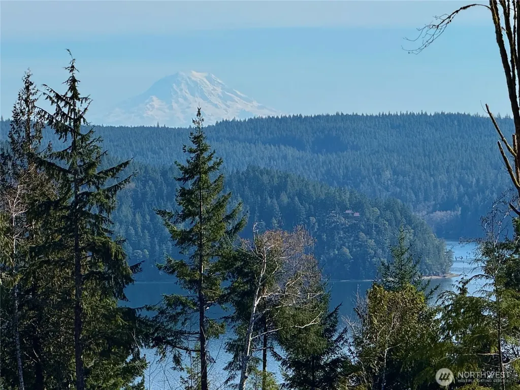 67 Devereaux Drive Lilliwaup WA 98555