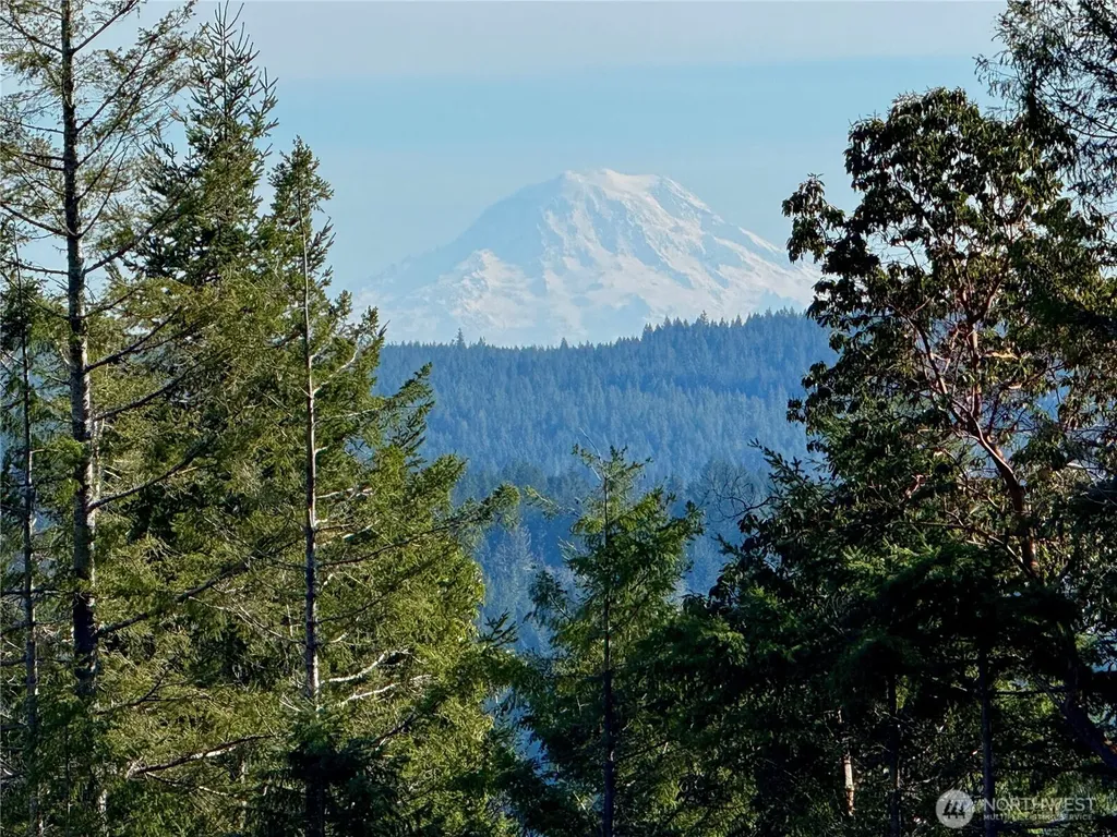 67 Devereaux Drive Lilliwaup WA 98555