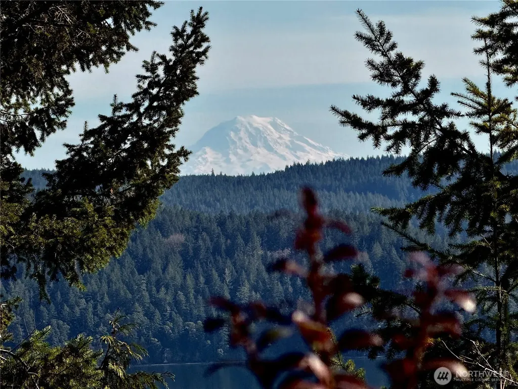 67 Devereaux Drive Lilliwaup WA 98555