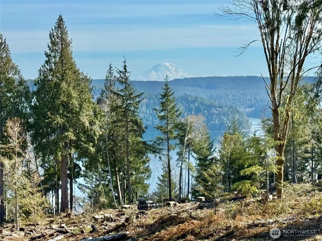67 Devereaux Drive Lilliwaup WA 98555