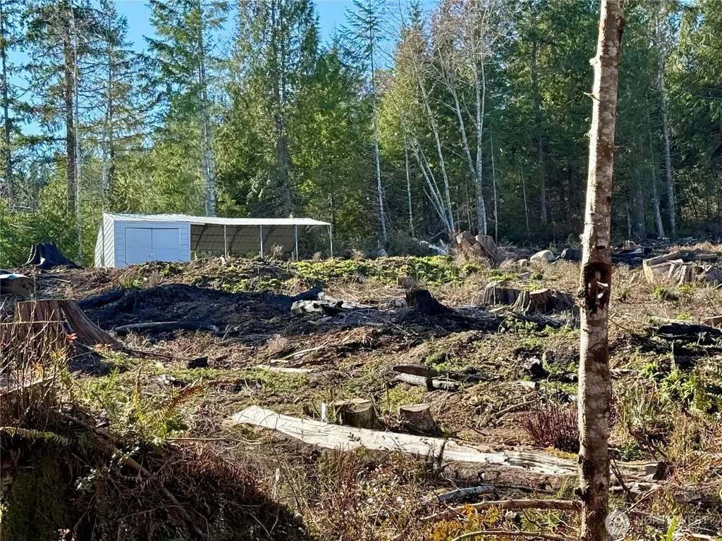 67 Devereaux Drive Lilliwaup WA 98555