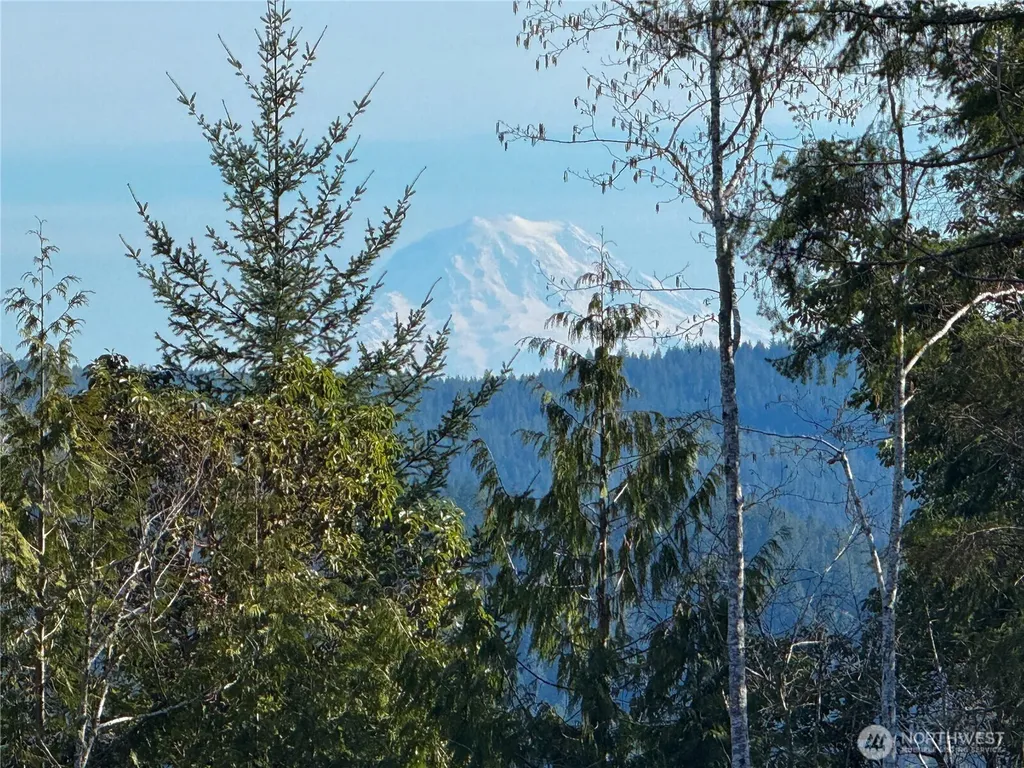 67 Devereaux Drive Lilliwaup WA 98555