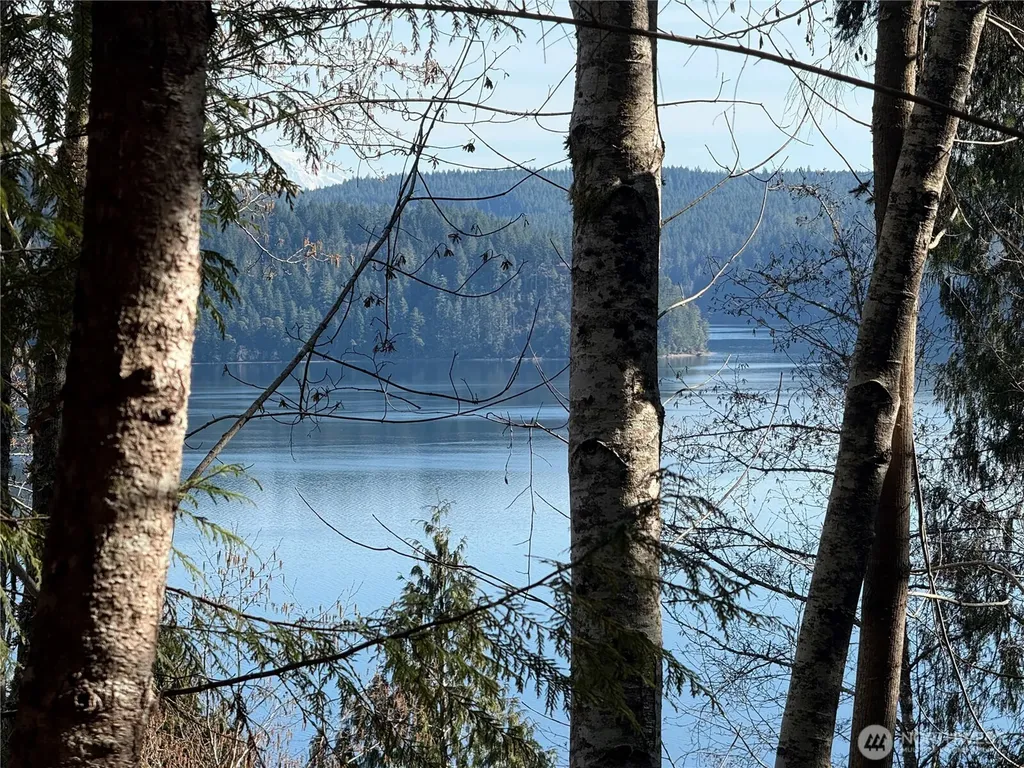 67 Devereaux Drive Lilliwaup WA 98555