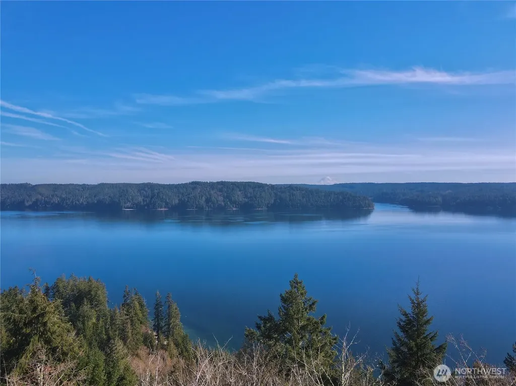 67 Devereaux Drive Lilliwaup WA 98555