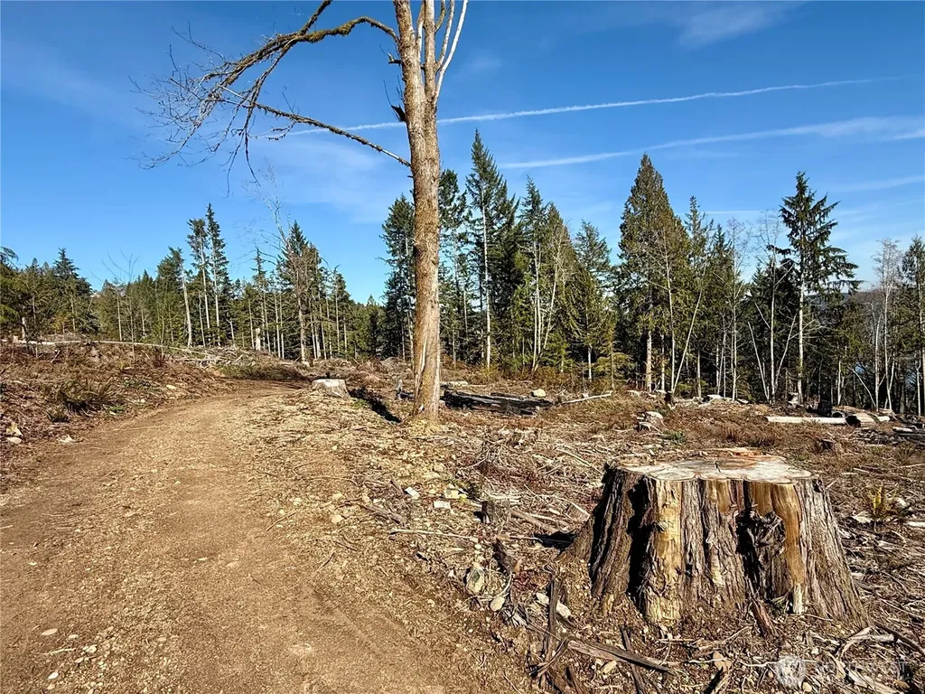 67 Devereaux Drive Lilliwaup WA 98555