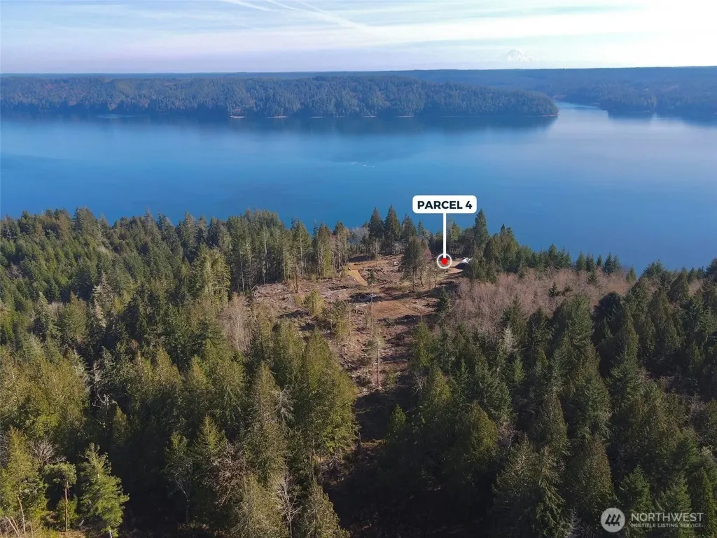 67 Devereaux Drive Lilliwaup WA 98555