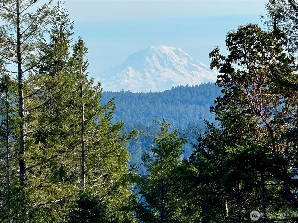 65 Devereaux Drive Lilliwaup WA 98555