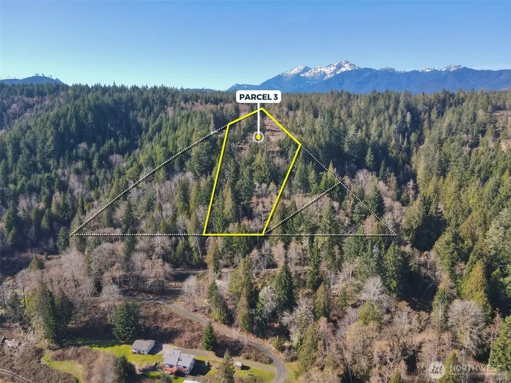 65 Devereaux Drive Lilliwaup WA 98555