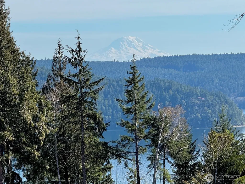 65 Devereaux Drive Lilliwaup WA 98555