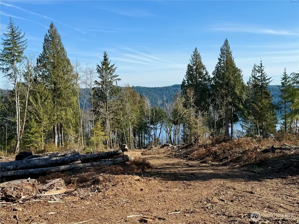65 Devereaux Drive Lilliwaup WA 98555