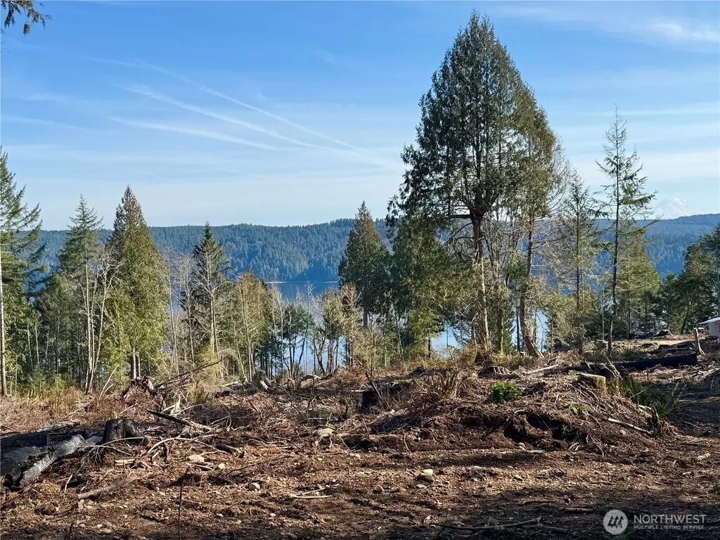 65 Devereaux Drive Lilliwaup WA 98555