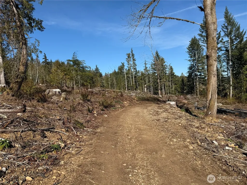 65 Devereaux Drive Lilliwaup WA 98555
