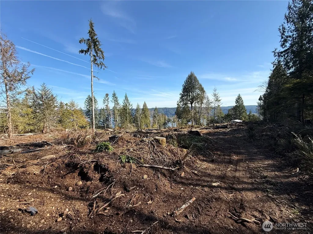 65 Devereaux Drive Lilliwaup WA 98555