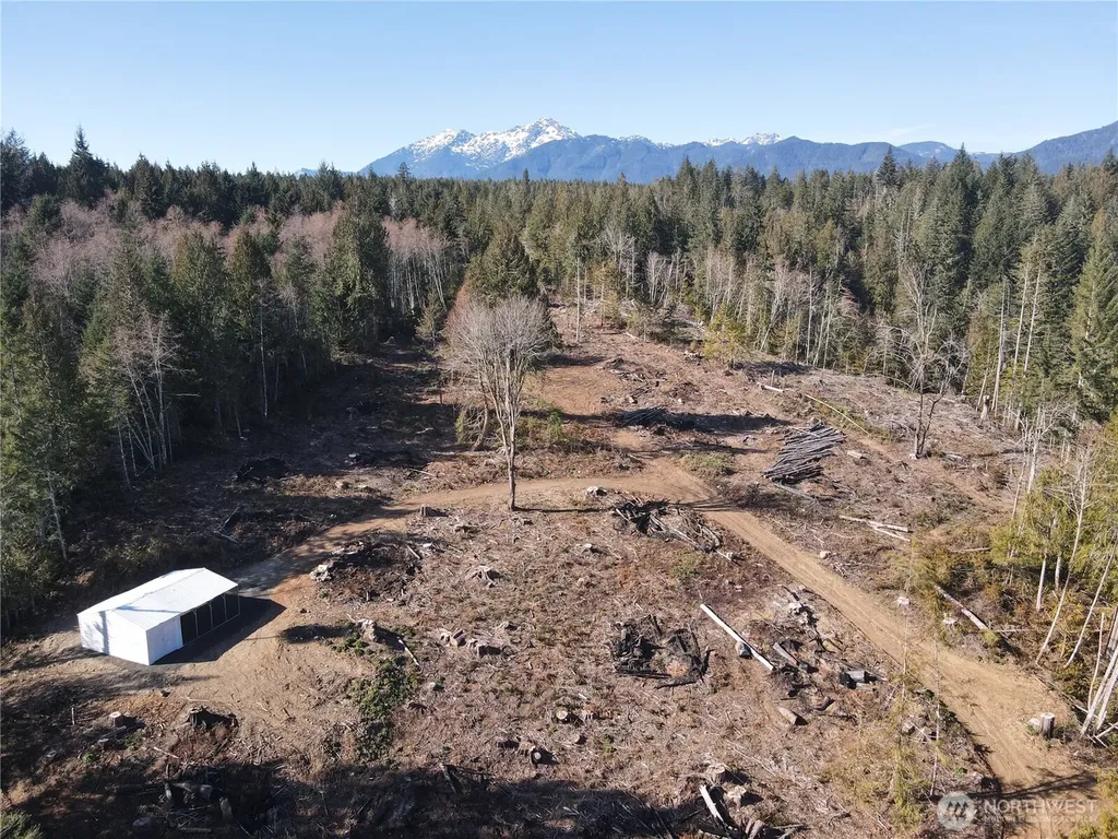 65 Devereaux Drive Lilliwaup WA 98555