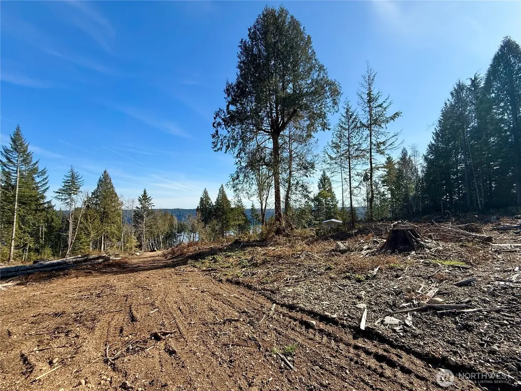 65 Devereaux Drive Lilliwaup WA 98555